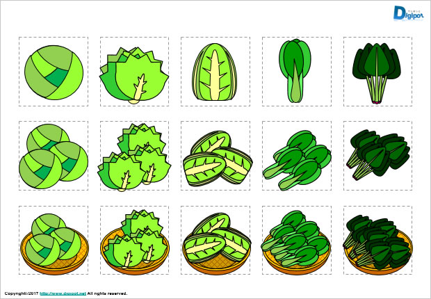 キャベツ、レタス、白菜、チンゲン菜、ほうれん草のイラスト画像2