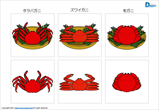 タラバガニ ズワイガニ 毛ガニのイラスト パワーポイント Png形式画像 フリー素材 無料素材のdigipot