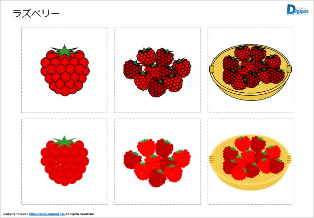 ラズベリーのイラスト画像