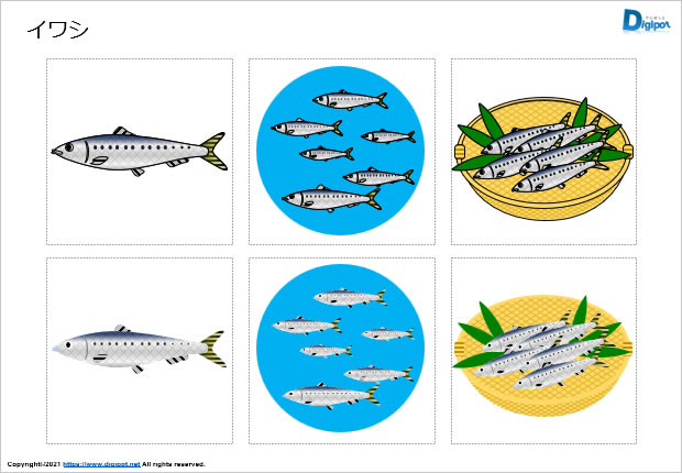イワシのイラスト画像