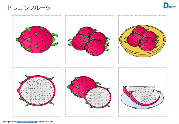 ドラゴンフルーツのイラスト画像