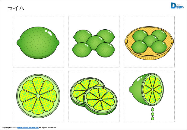 ライムのイラスト画像