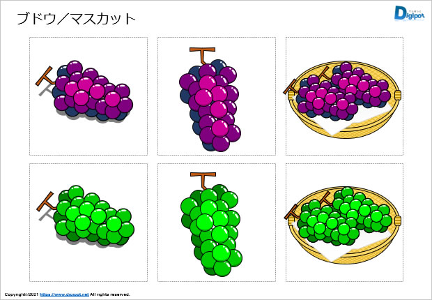 ブドウ／マスカットのイラスト画像