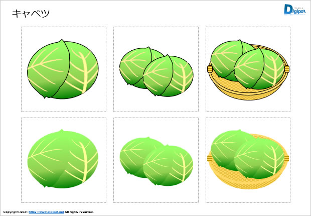 キャベツのイラスト画像
