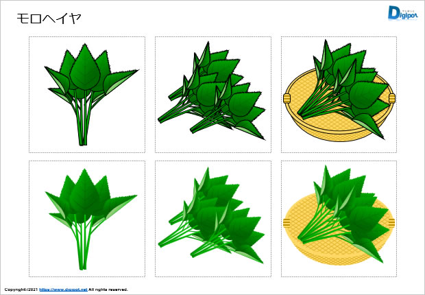 モロヘイヤのイラスト画像