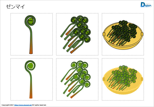 ゼンマイのイラスト画像