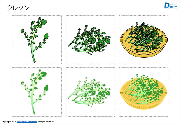 クレソンのイラスト画像