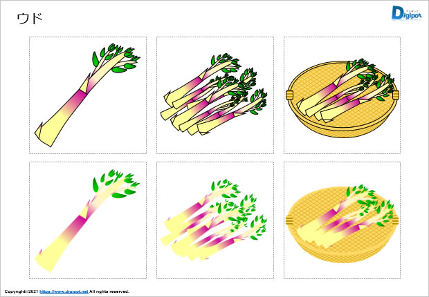 ウドのイラスト画像