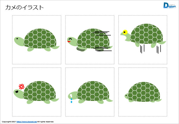 カメのイラスト画像2