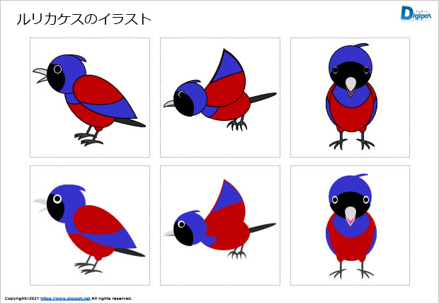 ルリカケスのイラスト画像