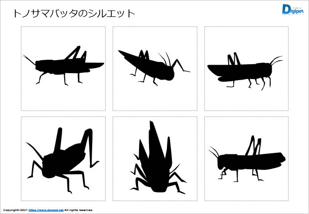トノサマバッタのシルエット画像
