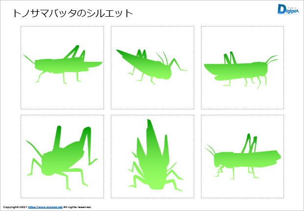 トノサマバッタのシルエット画像2