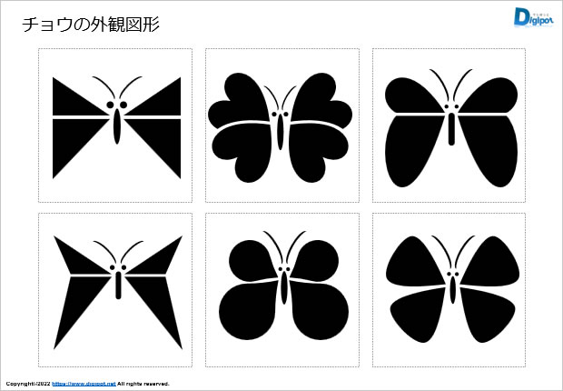 チョウの外観図形画像