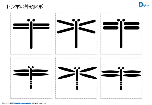 トンボの外観図形画像
