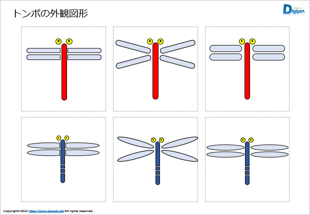 トンボの外観図形画像2