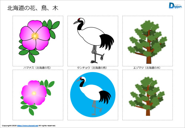 北海道の花、鳥、木のイラスト画像
