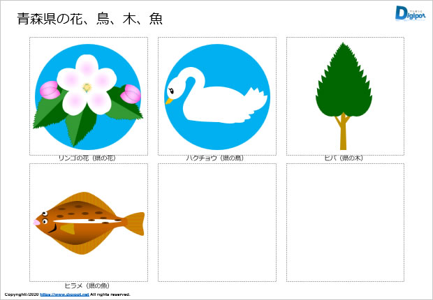 青森県の花、鳥、木、魚のイラスト画像2