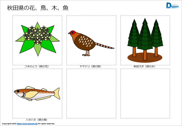 秋田県の花、鳥、木、魚のイラスト画像