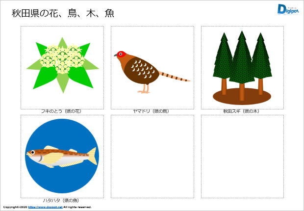 秋田県の花、鳥、木、魚のイラスト画像2