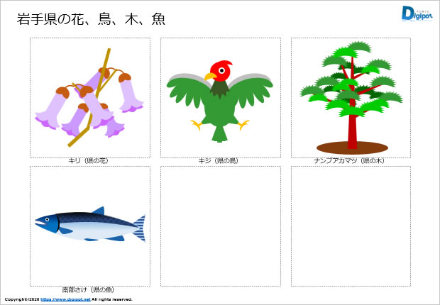 岩手県の花、鳥、木、魚のイラスト画像2