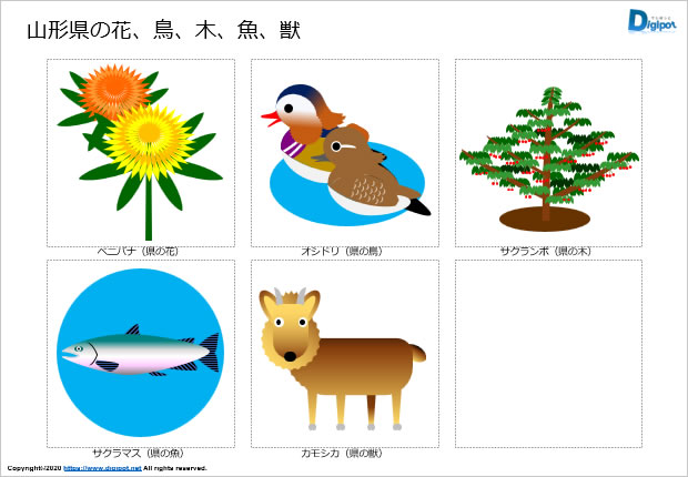 山形県の花、鳥、木、獣、魚のイラスト画像2