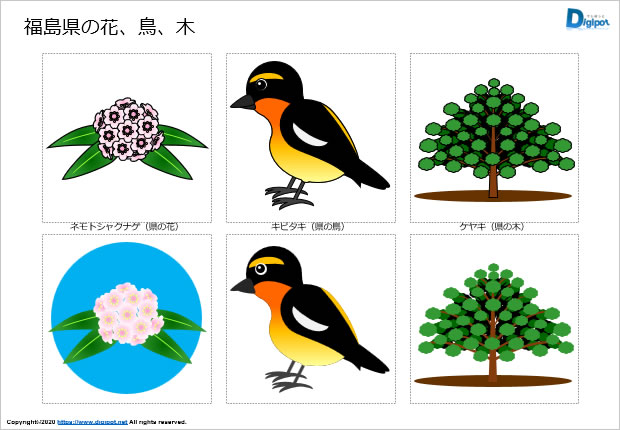 福島県の花、鳥、木のイラスト画像