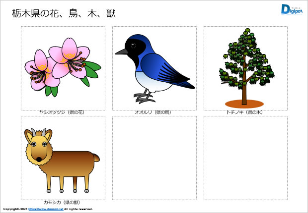 栃木県の花、鳥、木、獣のイラスト画像