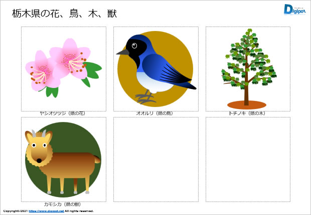 栃木県の花、鳥、木、獣のイラスト画像2