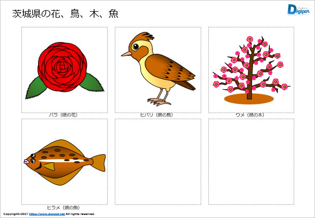 茨城県の花、鳥、木、魚のイラスト画像