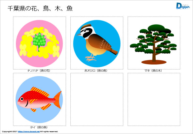 千葉県の花、鳥、木、魚のイラスト画像2