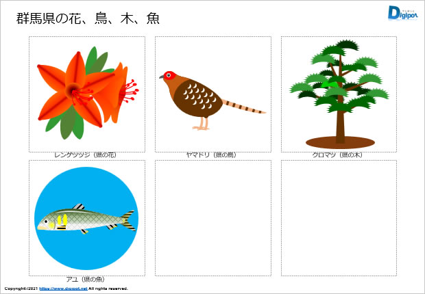 群馬県の花、鳥、木、魚のイラスト画像2