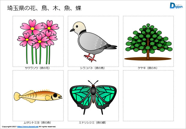 埼玉県の花、鳥、木、魚、蝶のイラスト画像