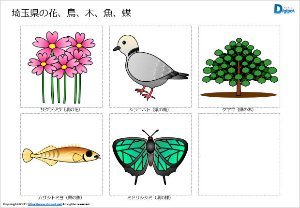 埼玉県の花 鳥 木 魚 蝶のイラスト パワーポイント Png形式画像 フリー素材 無料素材のdigipot