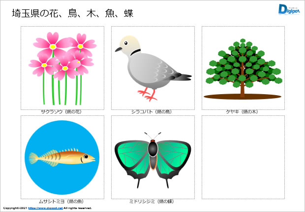埼玉県の花、鳥、木、魚、蝶のイラスト画像2