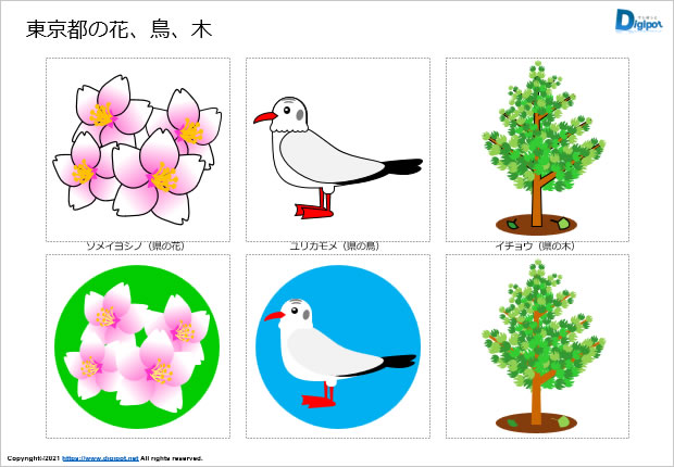 東京都の花、鳥、木のイラスト画像