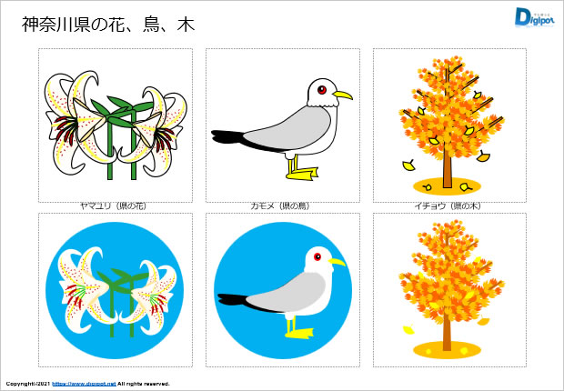 神奈川県の花、鳥、木のイラスト画像