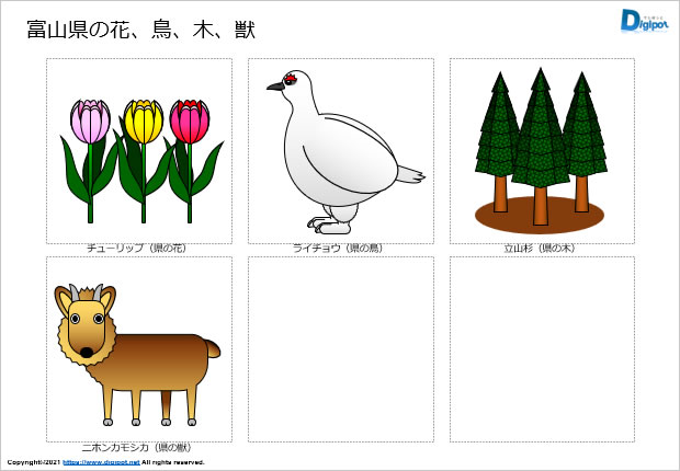 富山県の花、鳥、木、獣、魚のイラスト画像