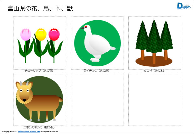 富山県の花、鳥、木、獣、魚のイラスト画像2