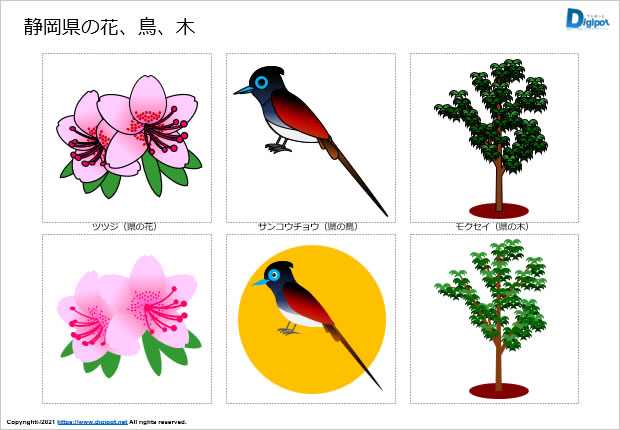 静岡県の花、鳥、木のイラスト画像