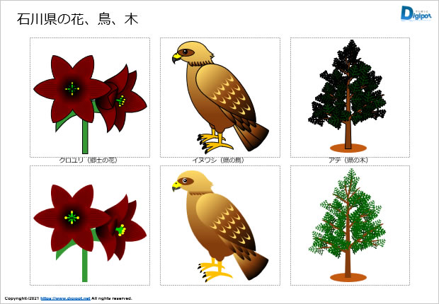 石川県の花、鳥、木のイラスト画像
