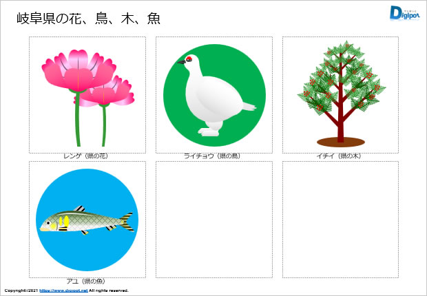 岐阜県の花、鳥、木、魚のイラスト画像2