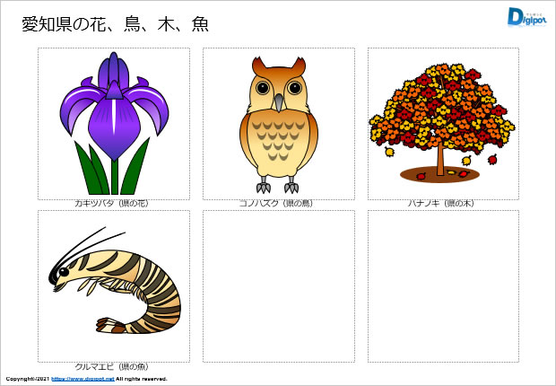 愛知県の花、鳥、木、魚のイラスト画像