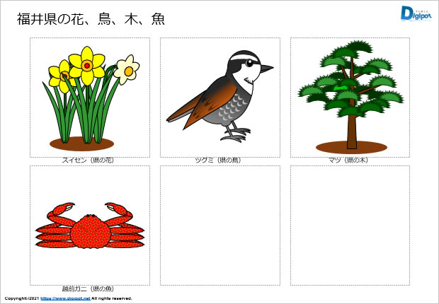 福井県の花、鳥、木、魚のイラスト画像