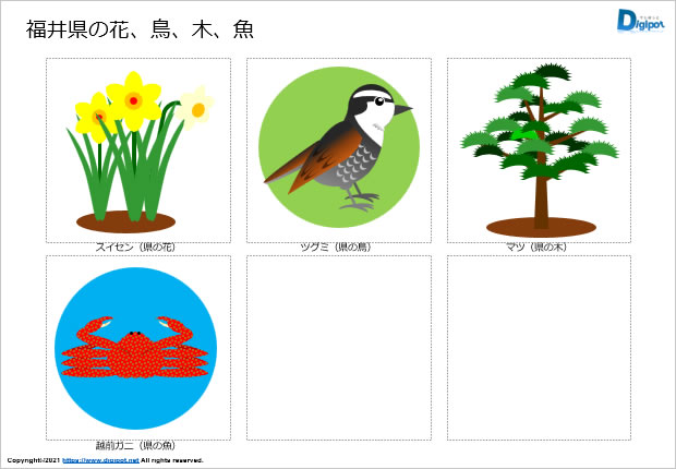 福井県の花、鳥、木、魚のイラスト画像2
