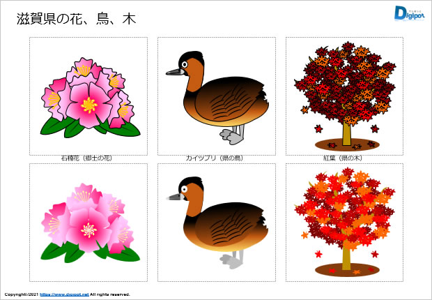 滋賀県の花、鳥、木のイラスト画像