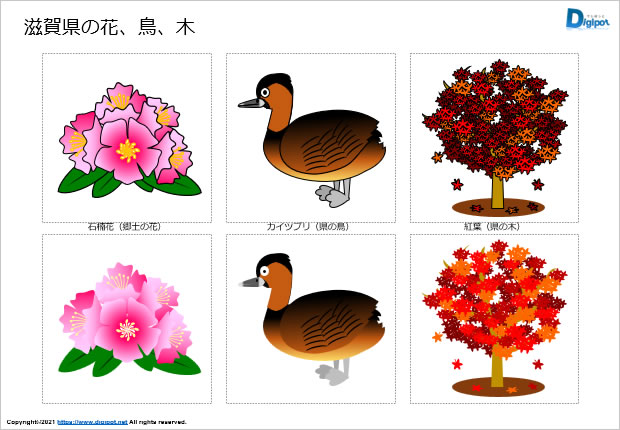 滋賀県の花 鳥 木のイラスト パワーポイント Png形式画像 フリー素材 無料素材のdigipot