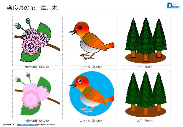 奈良県の花、鳥、木のイラスト画像