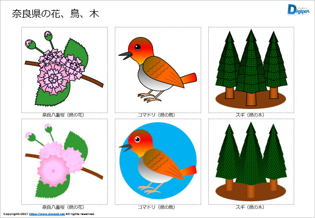 奈良県の花 鳥 木のイラスト パワーポイント Png形式画像 フリー素材 無料素材のdigipot