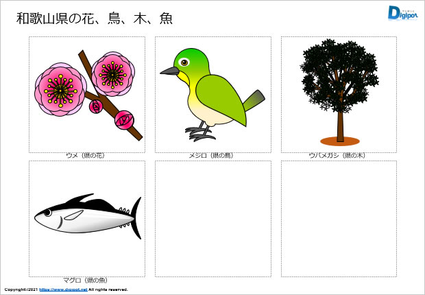 和歌山県の花、鳥、木、魚のイラスト画像