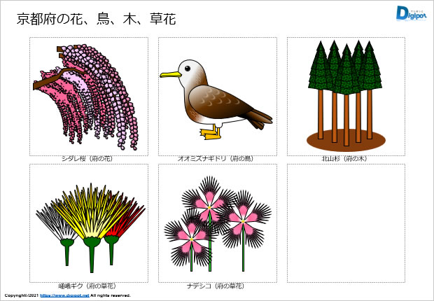 京都府の花、鳥、木、草花のイラスト画像